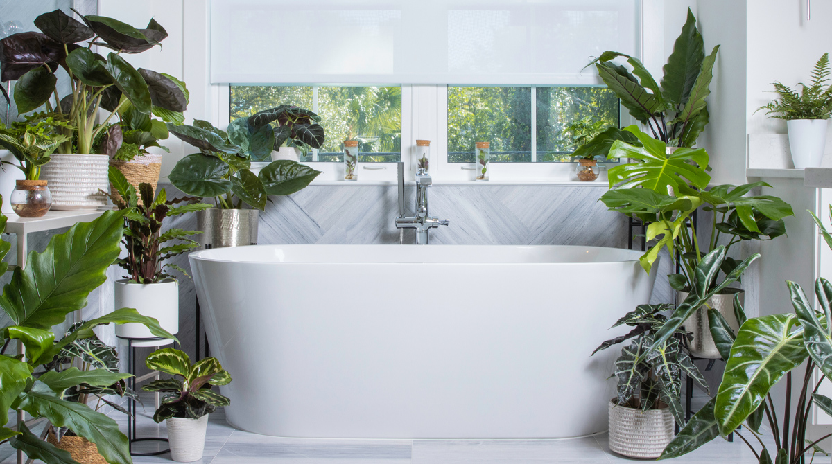leafjoy spa scene 1
